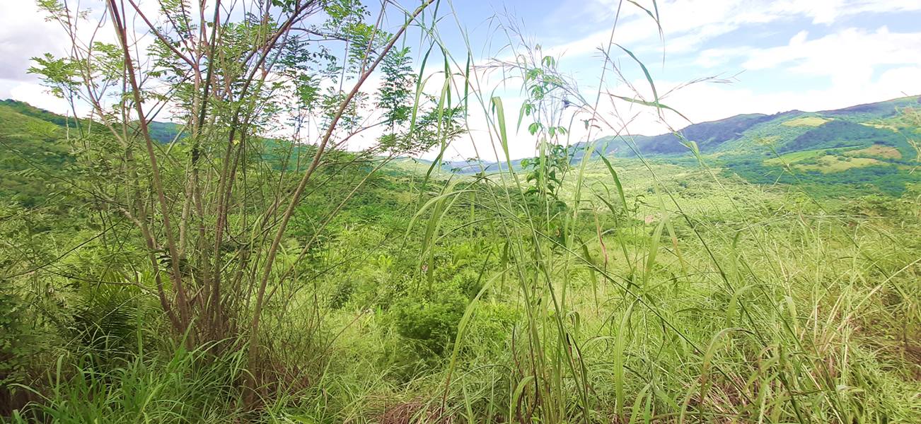 ZONA DE MEDITACIÓN